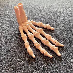 Skeleton Hand