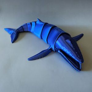 Humpback Whale Flexi