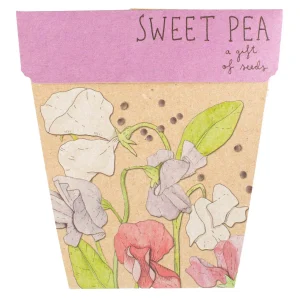 Gift of Seeds - Sweet Pea
