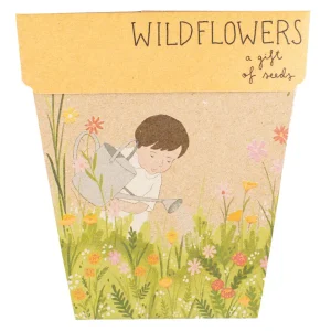 Gift of Seeds - Wildflowers