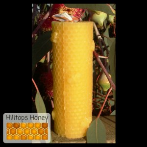 Beeswax Candle - Bee & Honeycomb Pillar 12cm