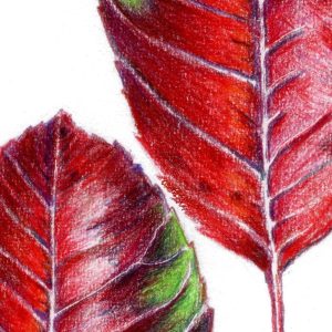 Leafy designs Bookmark