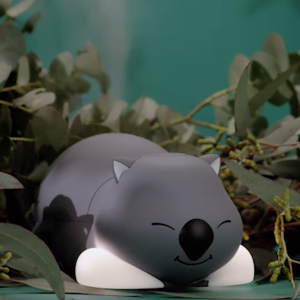 Wombat Diffuser