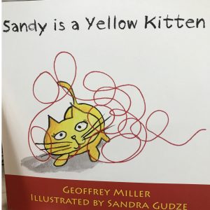 "Sandy is a Yellow Kitten" - Childrens Book
