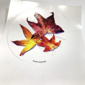 Maple Leaf Sticker
