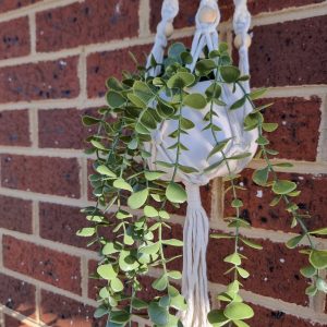 Macrame Plant Hanger