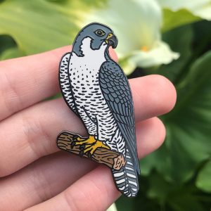 Peregrine Falcon - Enamel Pin