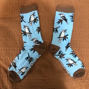 Kookaburra Socks (Light Blue)