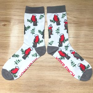Galah Socks (White)