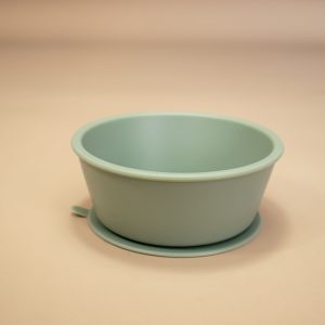 Silicone Bowl