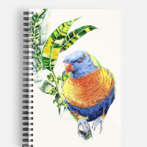 Blank Notebook - Lorikeet