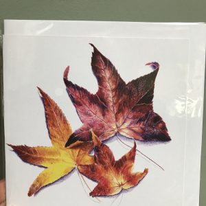 Greeting Card - Maple Leaves
