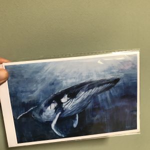 Greeting Card - Whale