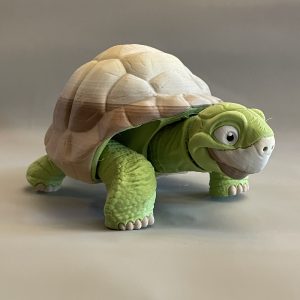 Tortoise Flexi