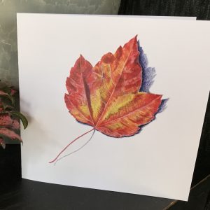 Greeting Card - Maple Leaf