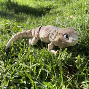 Bearded Dragon (Deluxe)