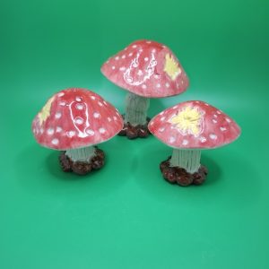 Fairy Mushroom