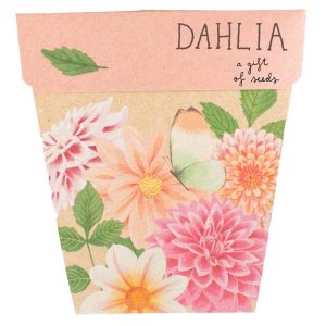 Gift of Seeds - Dahlia