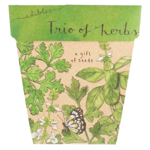 Gift of Seeds - Trio of Herbs