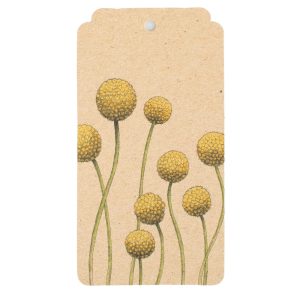 Billy Buttons Gift Tag
