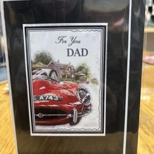 For you dad red car card