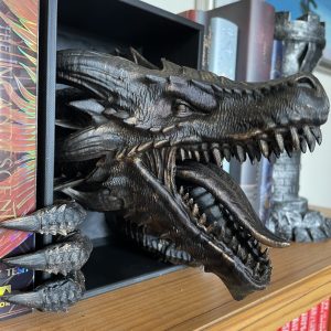 Dragon Awakening Book Nook