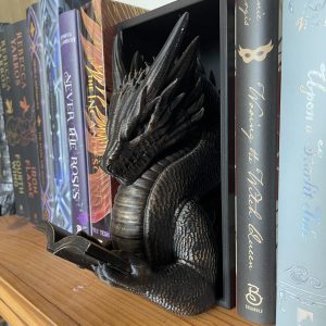 Reading Dragon Book Nook