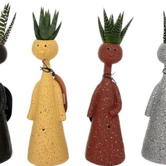 Bold Thinkers Succulents